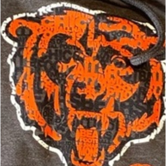 Chicago Bears Fanatics hoodie sz Adult . The bears logo says the team name . - Picture 3 of 5